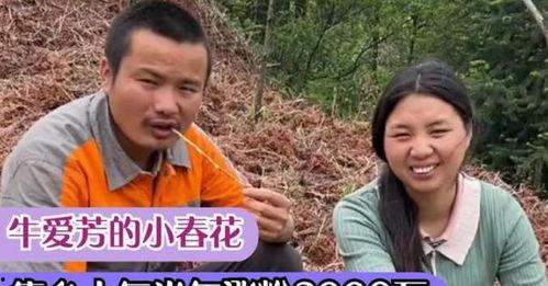 小春花邻居爆料视频播放,小春花生活大揭秘